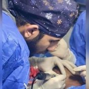 صورة دكتور محمود النمر